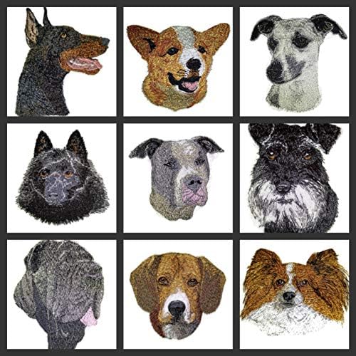 פרצופי כלבים מדהימים [דוברמן פינצ'ר פנים שחורות כלב] ברזל רקמה על/תפירה [3.73 x 4] [תוצרת ארהב]